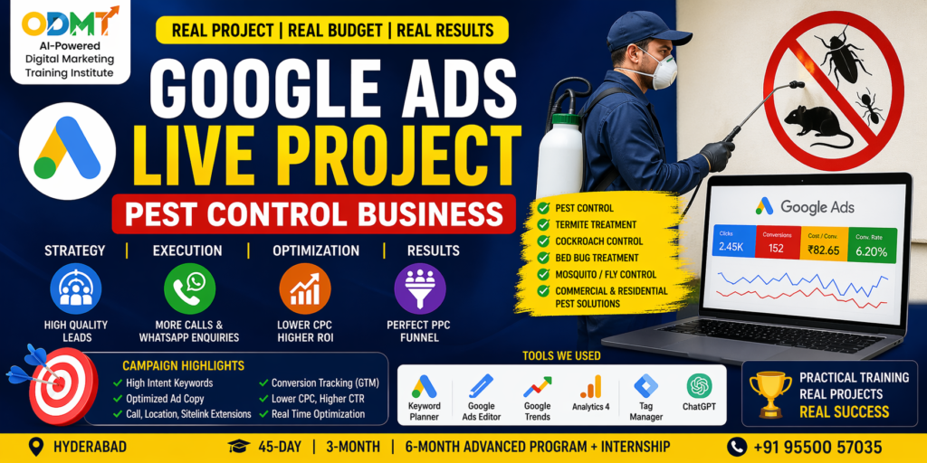 Google Ads Live Project pest control campaign example